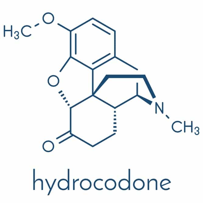 chemical makeup of Hydrocodone