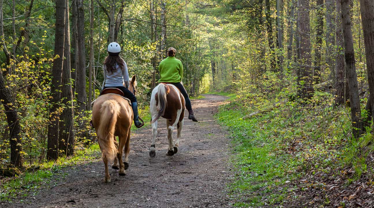 ladies riding horseback on a trail during equine therapy