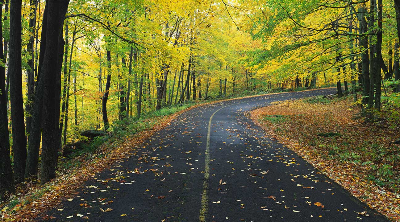 road covered in leaves leading to a drug detox facility in Massachusetts