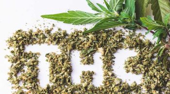 What Is THC-O Acetate? | Legality, Side Effects, & Risks